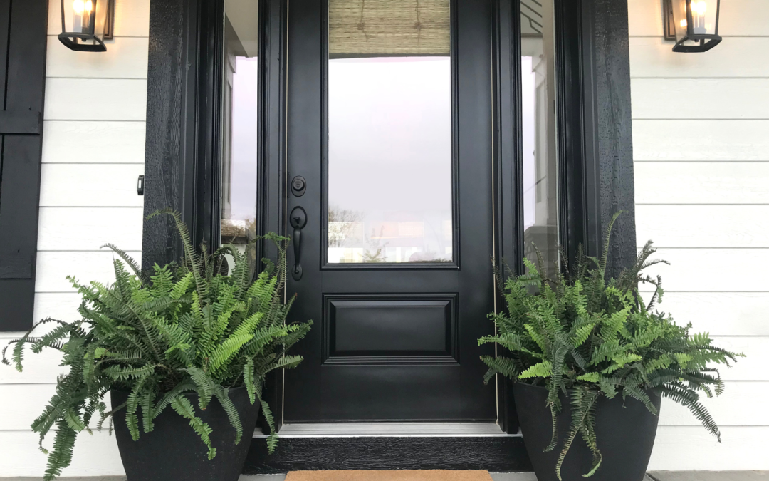Black front glass door with 2 potted plants